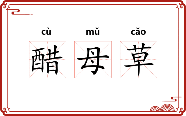 醋母草