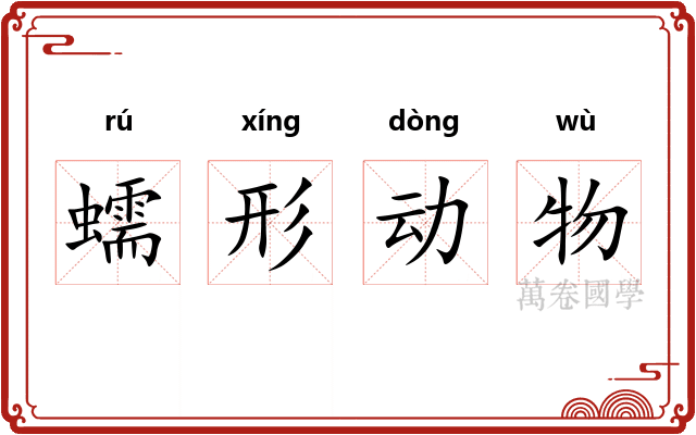 蠕形动物