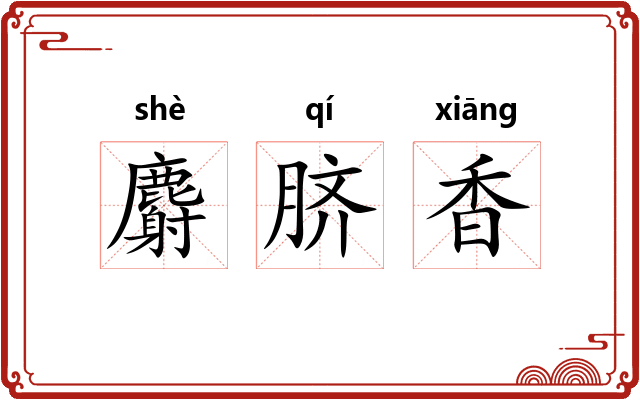 麝脐香 麝脐香