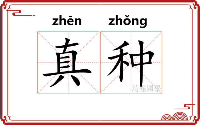 真种 真种