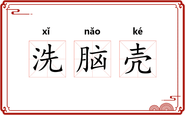 洗脑壳