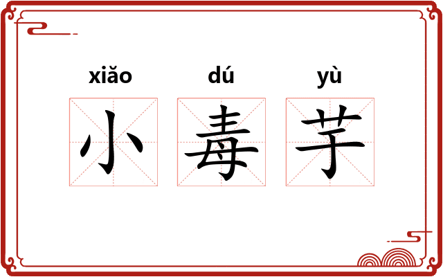 小毒芋