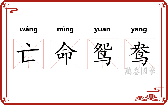 亡命鸳鸯
