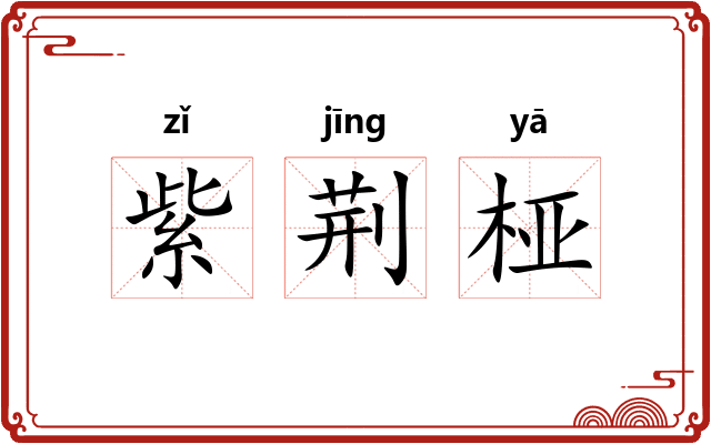 紫荆桠