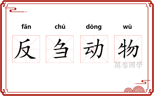 反刍动物