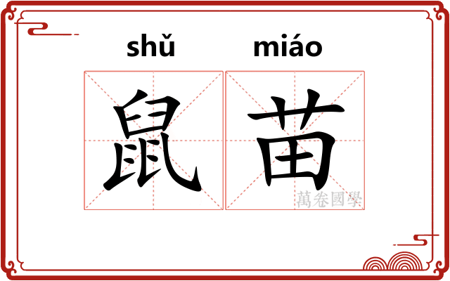 鼠苗 鼠苗