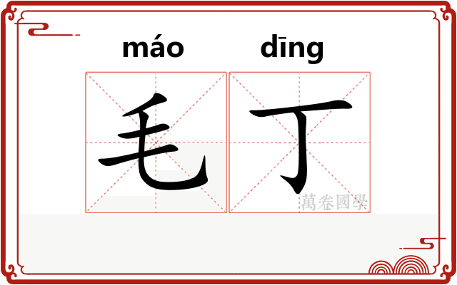 毛丁