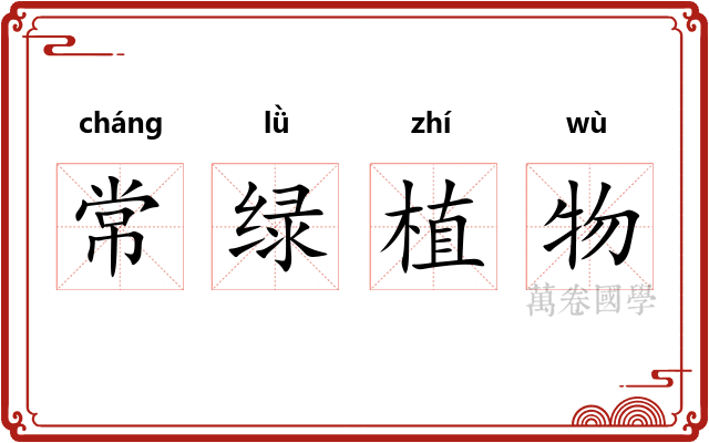常绿植物