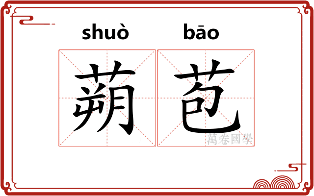 蒴苞