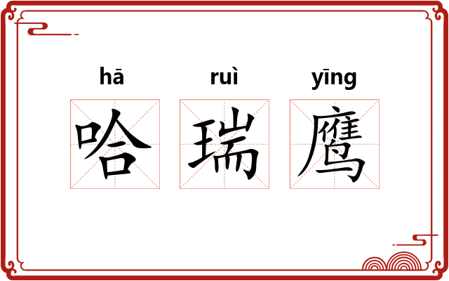 哈瑞鹰