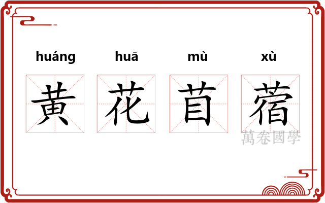 黄花苜蓿 黄花苜蓿