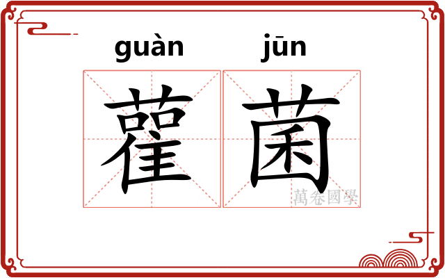 雚菌