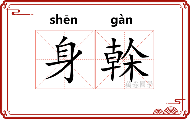 身榦