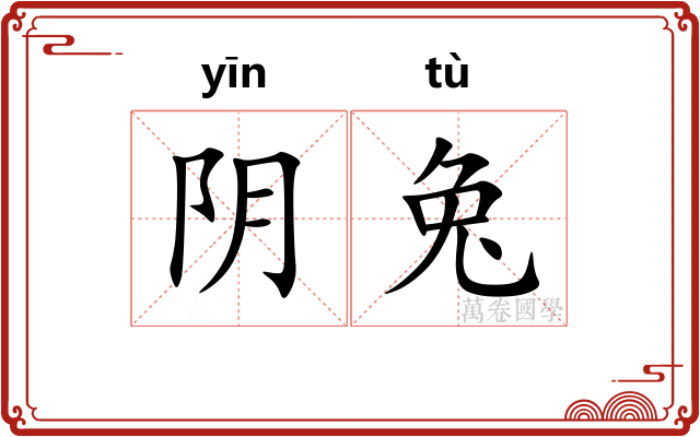 阴兔