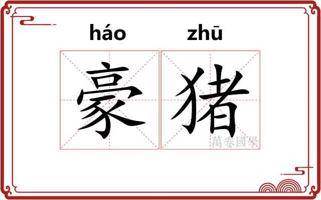 豪猪