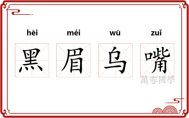 黑眉乌嘴