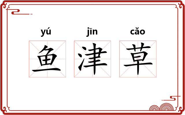 鱼津草
