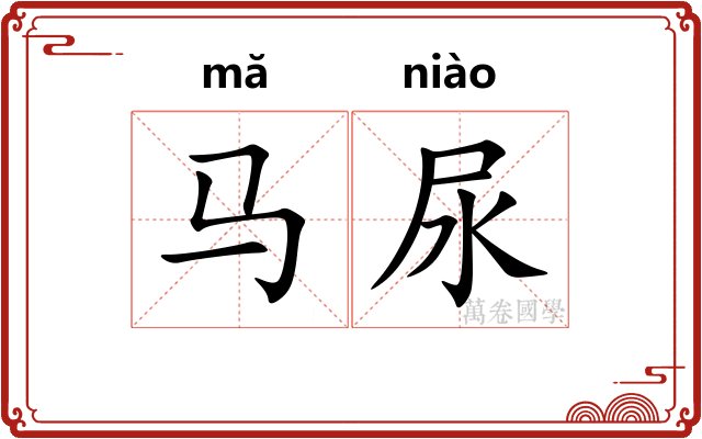 马尿