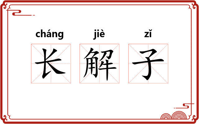 长解子