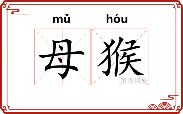 母猴