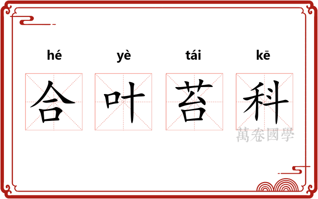 合叶苔科