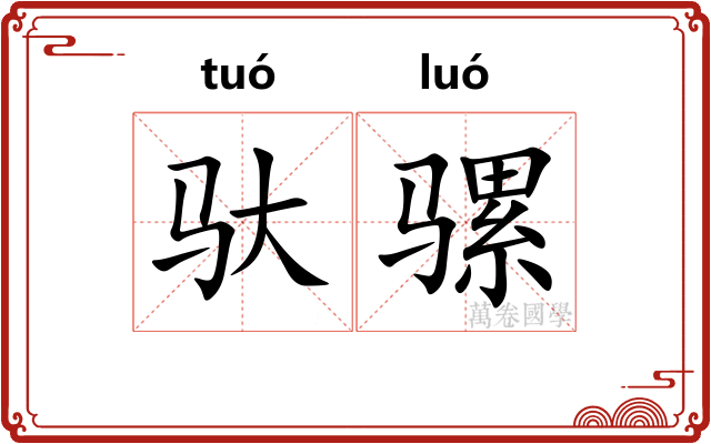 驮骡