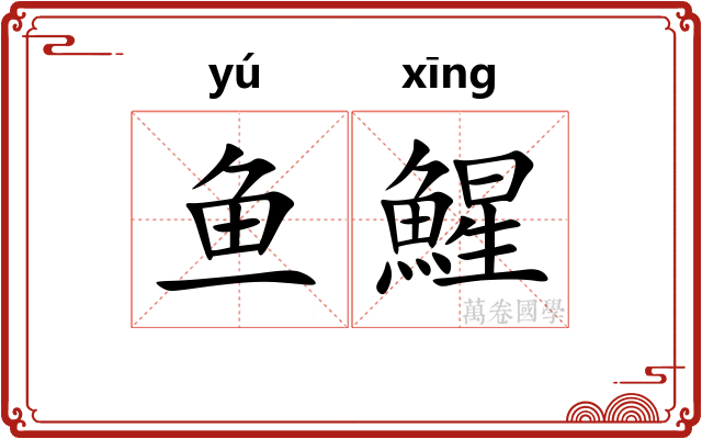 鱼鯹