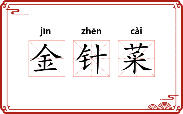 金针菜
