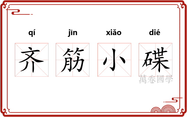 齐筋小碟