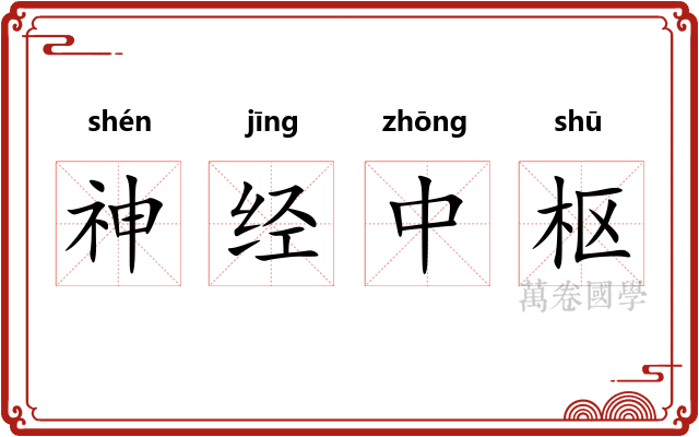 神经中枢