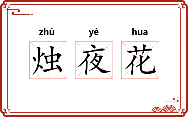 烛夜花