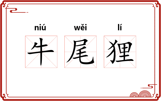 牛尾狸 牛尾狸