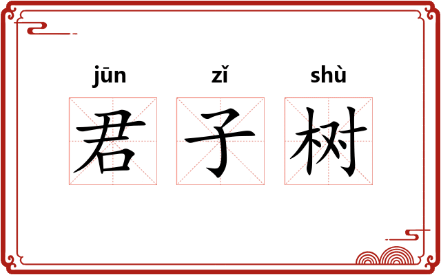君子树
