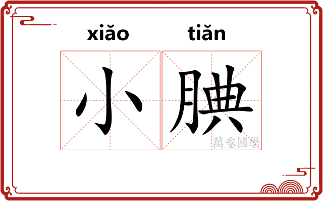 小腆