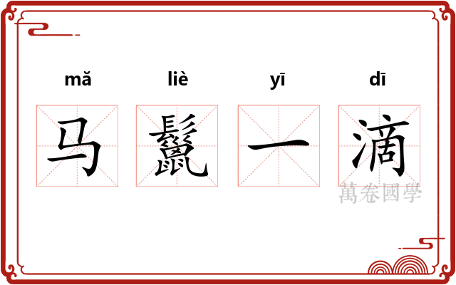 马鬣一滴
