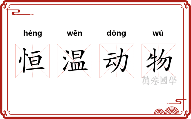 恒温动物