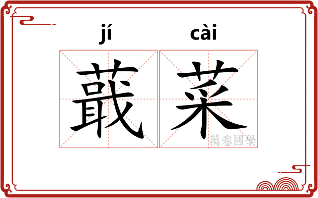 蕺菜