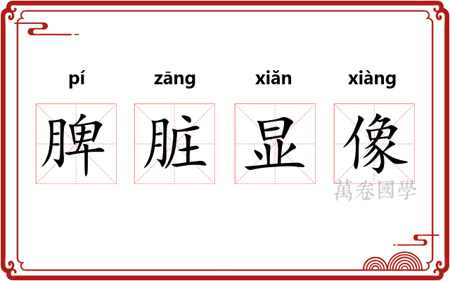 脾脏显像