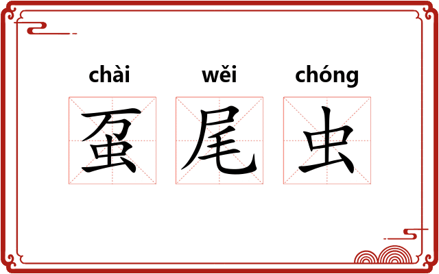 虿尾虫