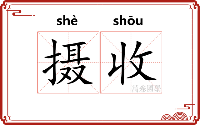 摄收