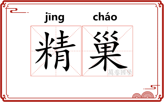 精巢