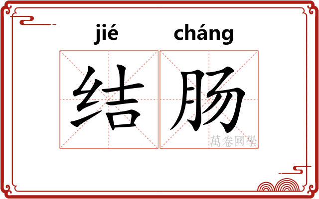 结肠
