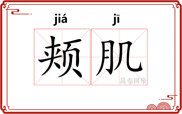 颊肌
