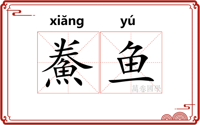 鮝鱼