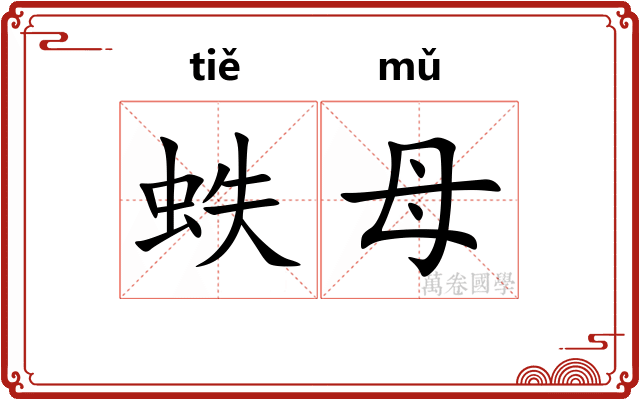 蛈母