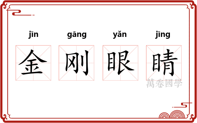 金刚眼睛 金刚眼睛