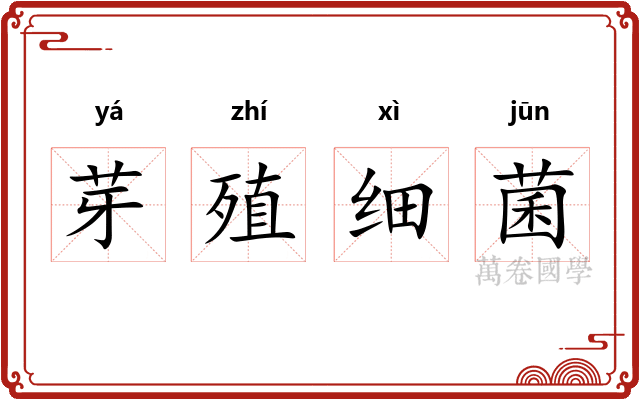 芽殖细菌