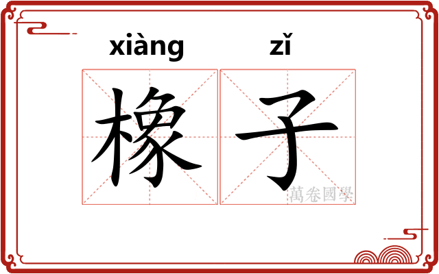橡子