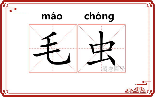 毛虫