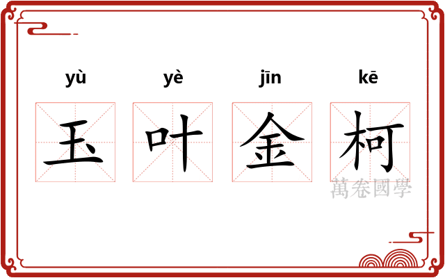 玉叶金柯